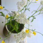 Yarrow Tea