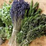Herbs de Provence