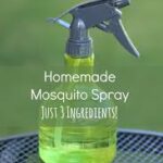 Home made bug spray
