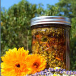 How to an Make Herbal Oil Infusion