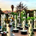 How to Grow a Tower Garden All Winter Long