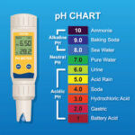 pH Levels for Hydroponic Plants