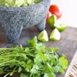 How to Store Cilantro for 1 Year